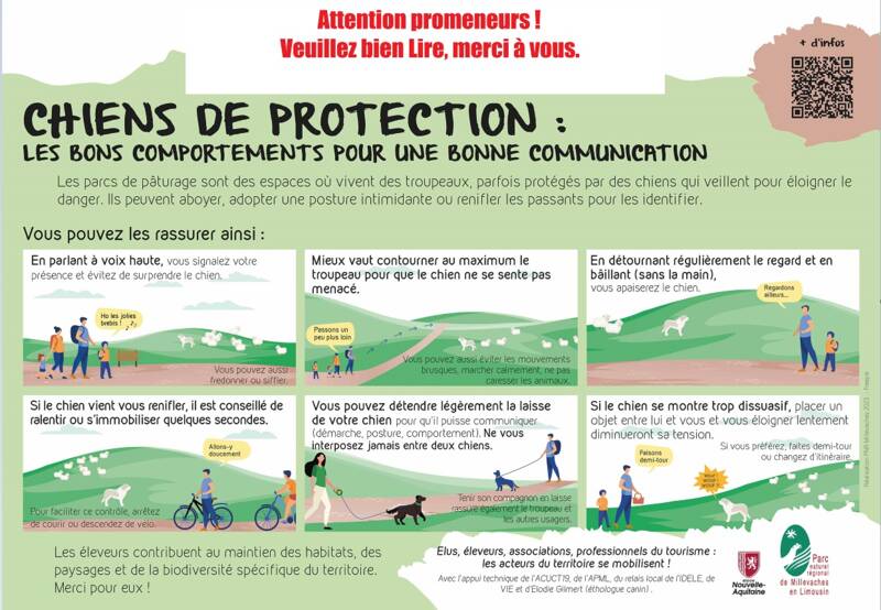 2025_04_17_16_03_09_202311_PanneauChienProtection_VBAT_002_Paint