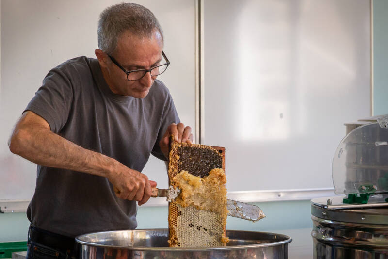 24 Environnement-extraction miel 24 Environnement-extraction miel